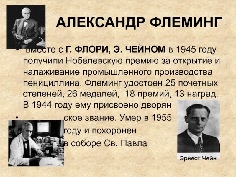 Открытия получившие нобелевскую премию. В 1945 году Флемингу, Чейну и Флори. Флеминг Флори и чейн в 1945 году получили Нобелевскую премию. Флеминг открытие пенициллина кратко. Флеминг Флори чейн Нобелевская премия.