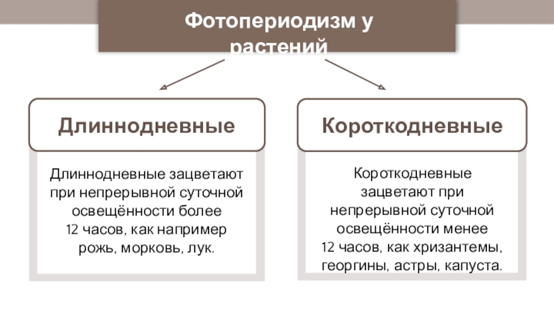 Фотопериодизм это. Факторы внешней среды на онтогенез. Влияние факторов внешней среды на онтогенез. Факторы внутренней среды влияющие на онтогенез. Факторы окружающей среды влияющие на онтогенез.