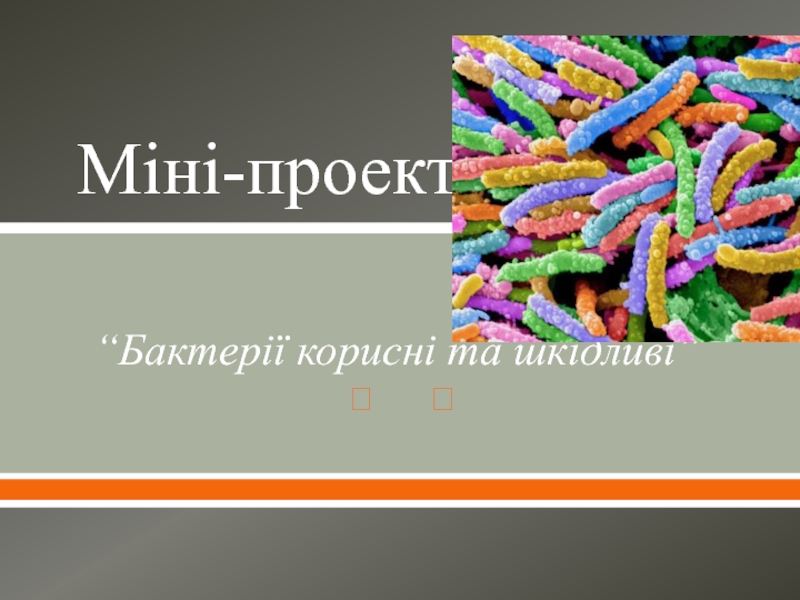 Презентация Міні-проект