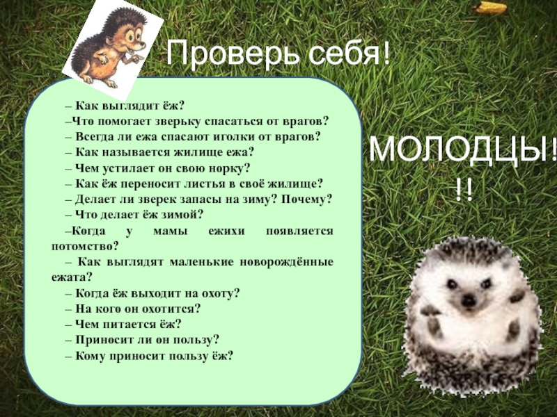 Помоги зверюшкам собрать свои слова. Еж спасается от врагов. Ежик защищается иголками от врагов. Что помогает белке спасаться от врагов.