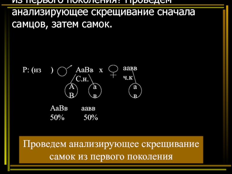 Презентация хромосомная теория наследственности 10 класс презентация