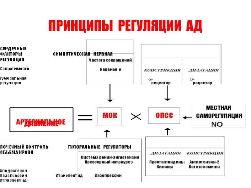 Принципы регуляции