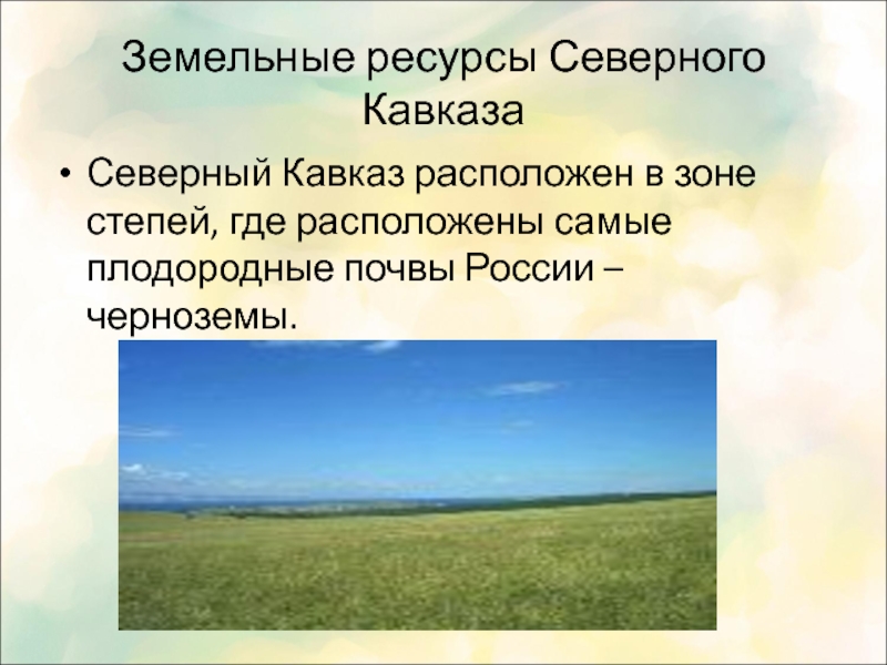 Кавказ расположен в природных зонах