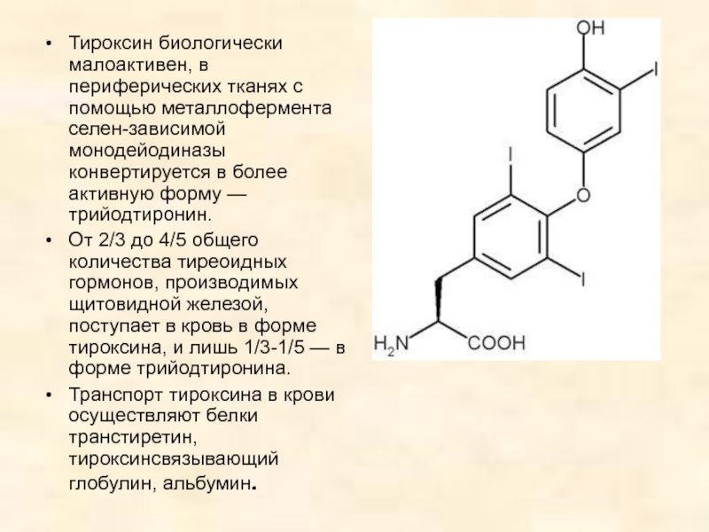 Обозначь рисунок на котором изображена железа вырабатывающая гормон тироксин