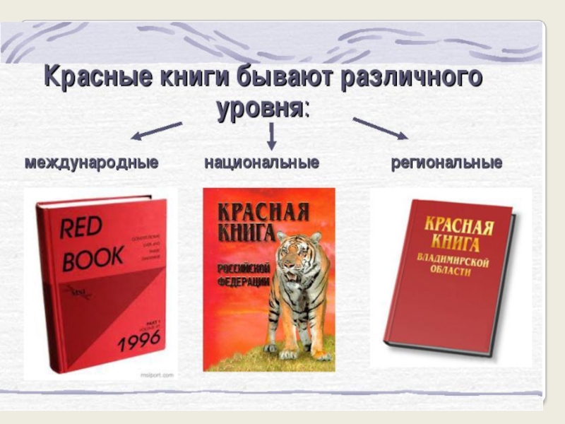 Книги бывают. Международные национальные и региональные красные книги. Региональная красная книга. Красные книги бывают. Красные книги бывают различного уровня международные.