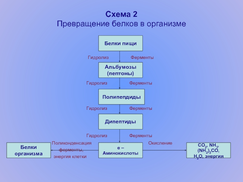 Схема превращение химия