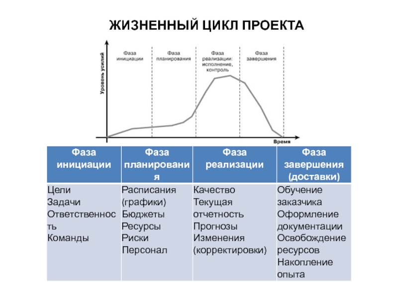 Оценка жизненного цикла проекта