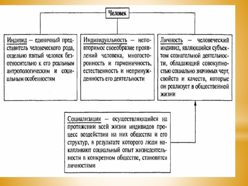 Индивид это единичный. Уникальность человека примеры. Уникальности людей или род деятельности человека. Индивид как особая единичная ценность кратко.