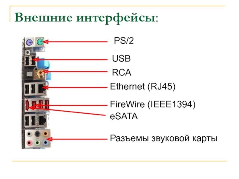 Гнездо звуковая схема