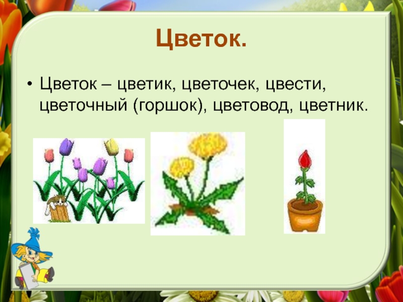 Расцвели цветочки и я ставлю. Здравствуйте цветики-цветочки. Здравствуйте цветики цветочки окружающий мир. Цветник цветочек однокоренные слова. Проверочное слово цветы цветочки.