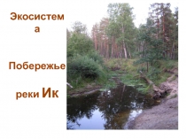 Экосистема
Побережье
реки Ик