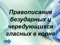 Правописание безударных и чередующихся гласных в корне