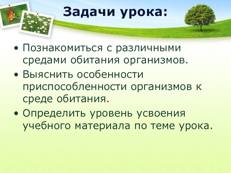 Под средой обитания понимают. Сельская среда обитания. Цель проекта "среды обитания организмов. Перечислите среды обитания с которыми вы знакомились на уроке.