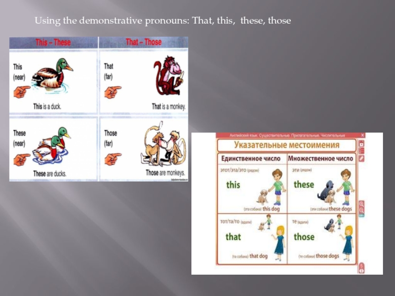 Those is this перевод. This that these those правило. Местоимения these those. Местоимения this that these those. Demonstrative pronouns this that.