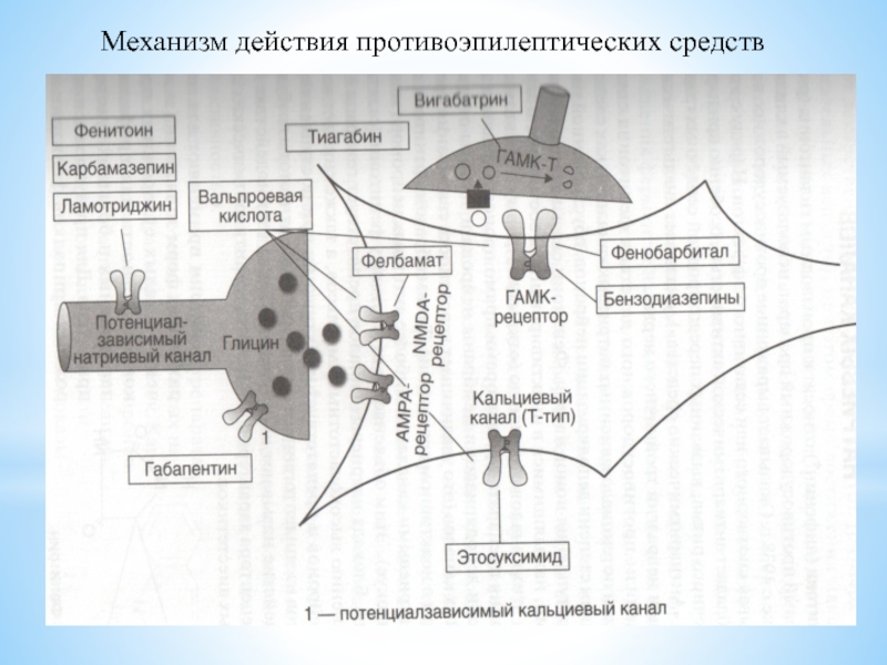 Нарисовать кластер механизма действия препарата кордиамина