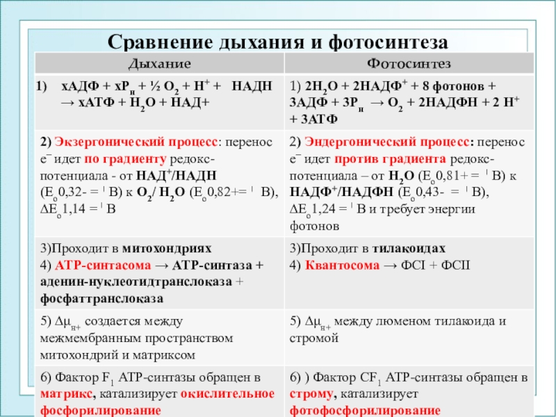 Сравнение процессоров фотосинтеза и дыхания таблица 6 класс ответы