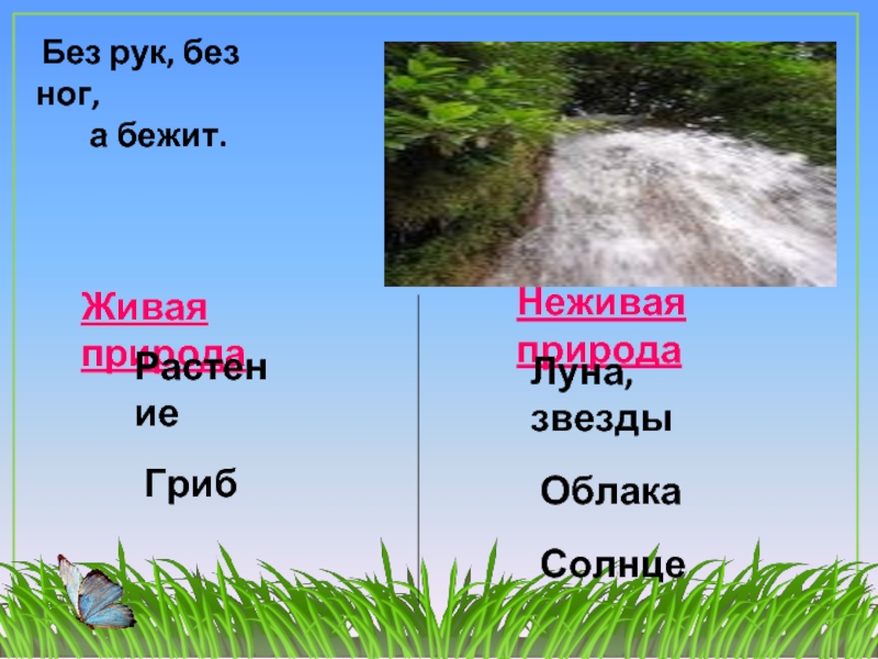 Гриб живой или неживой. Солнце и облака это Живая природа или неживая. Туча это Живая или неживая природа. Море Живая или неживая природа.