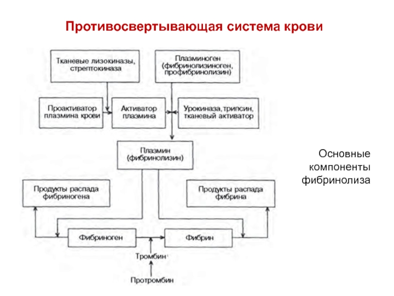 Схема противосвертывающей системы