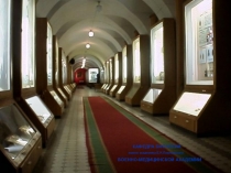 Эмбриональный период онтогенеза
