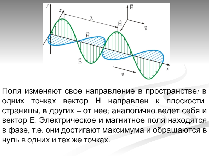 Максвелл гипотезасы презентация