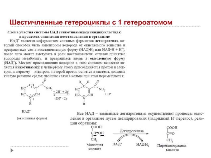 Коферменты гетероциклические соединения. Биологически активные гетероциклические соединения. Шестичленные гетероциклы с одним гетероатомом. Биологически значимые гетероциклические соединения.