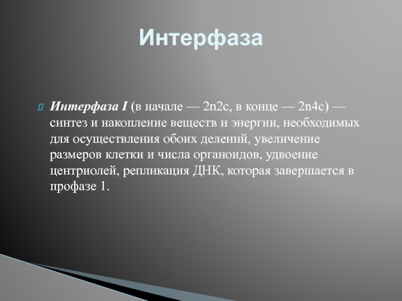 Интерфаза 2. Интерфаза 2n2c. Интерфаза i. Интерфаза 2 характеристика 2n 4c.