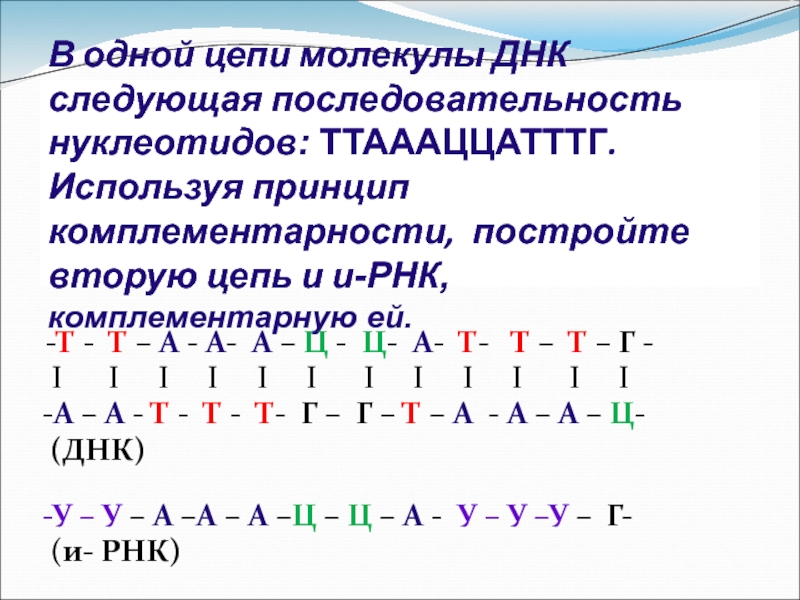 Нуклеотидную последовательность участка ирнк. Комплементарность ДНК И РНК. Принцип комплементарности ДНК И РНК. Цепочка ДНК А-Ц-Г-Т-А-Г-Ц-Т-А-Г вторая цепь. Принцип комплементарности НК.