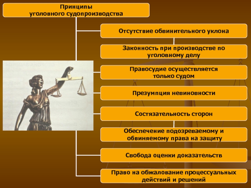 Основы уголовного процесса презентация