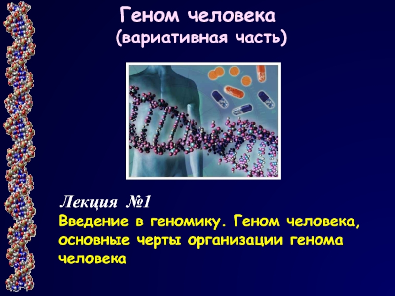 Лекция №1
Введение в геномику. Геном человека, основные черты организации