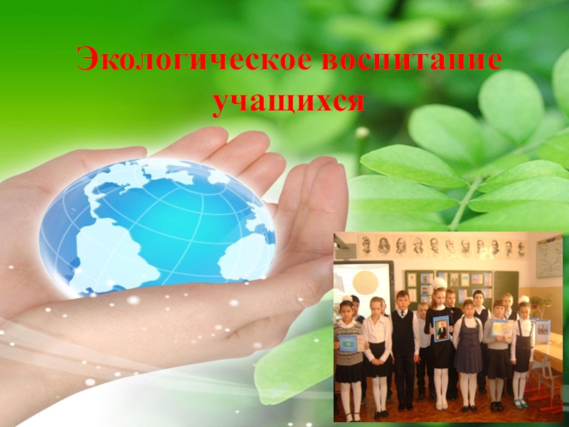 Презентация Экологическое воспитание учащихся