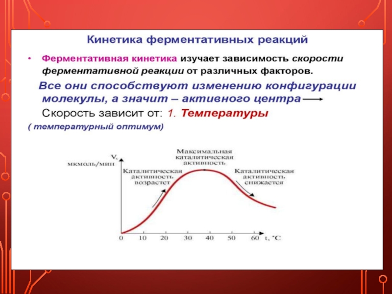 Презентация кинетика ферментативных реакций