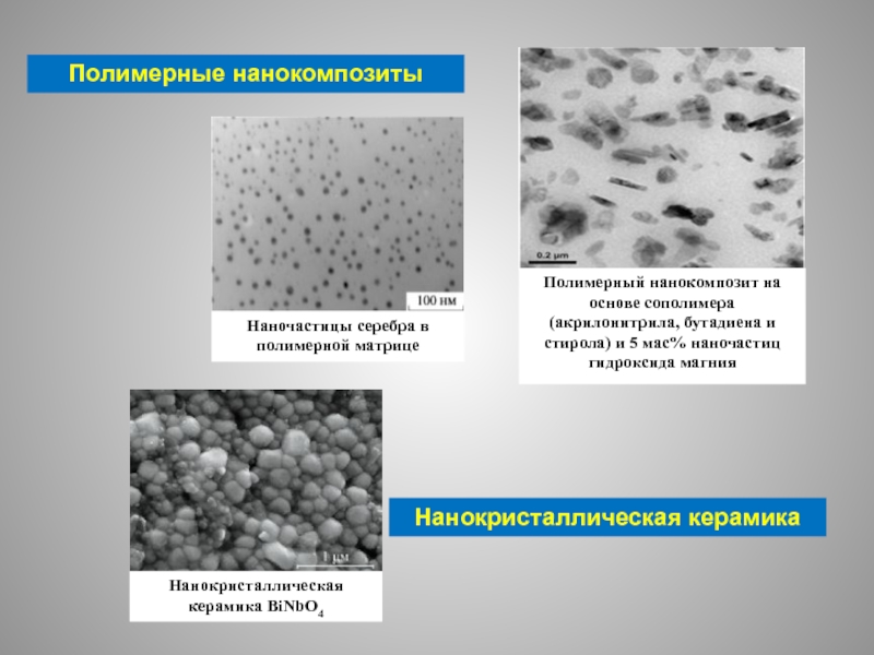 Полимерные нанокомпозиты презентация