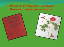 Редкие и исчезающие растения Ненецкого автономного округа