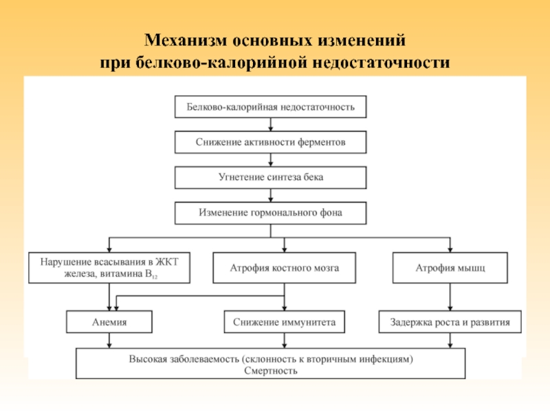 Белково калорийная недостаточность презентация