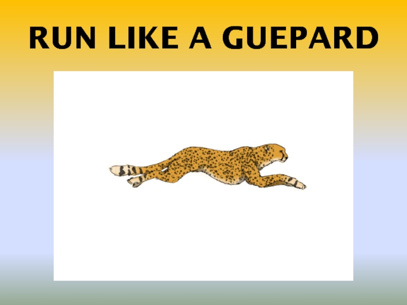 Likes run. Гепард с казахский флагом. Гепард на флаге чья Страна. Guepard Guepard Парфюм.