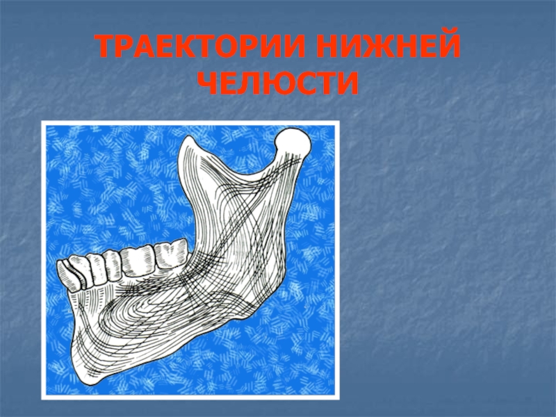 Траектория нижний. Траектории нижней челюсти. Траектория движения нижней челюсти. Траектории нижней челюсти их Назначение. Силовые траектории нижней челюсти.