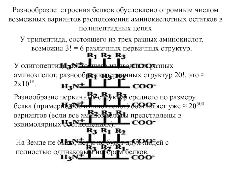 Перенос информации о первичной структуре белка. Тетрапептид из разных аминокислот. Трипептид из различных аминокислот. Любая формула трипептида состоящий из трех аминокислот. Олигопептид структура.