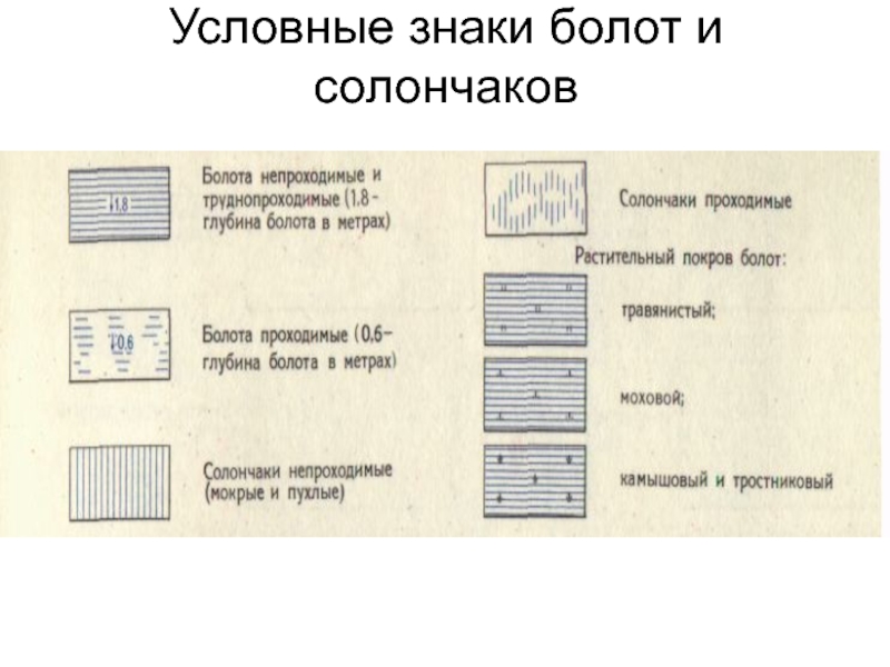 Условное обозначение болота на топографическом плане