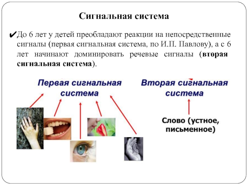 Сигнальная система картинки