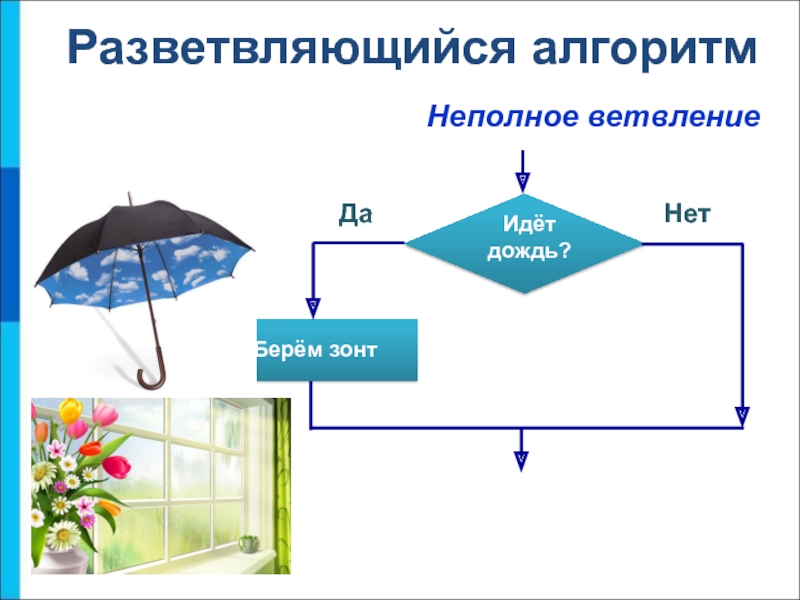 Алгоритм разветвляющийся презентация