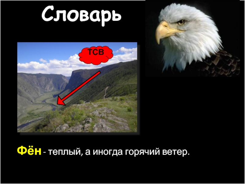 Горячий ветер. Ветер фён на Кавказе. Ветры Северного Кавказа. Горячий ветер Кавказа. Знать терминологию: фён,.