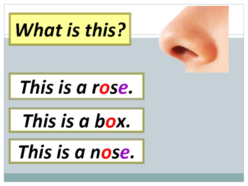 What is this? This is a box.This is a rose.This is a nose.