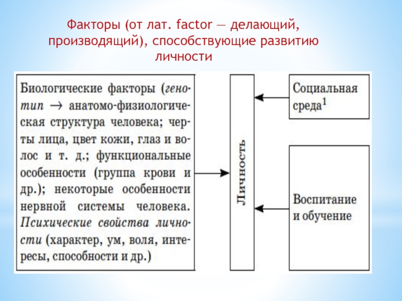 Делающий производящий