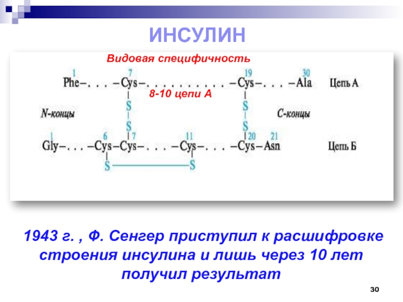 Инсулин биохимия презентация