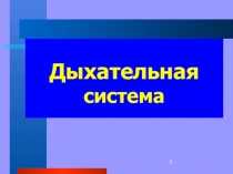Дыхательная система