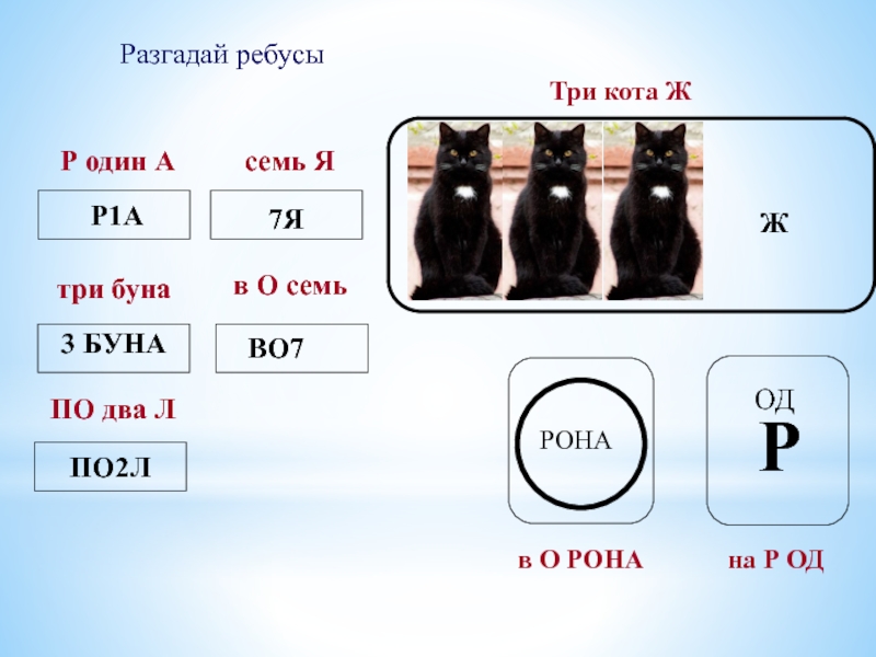 5 букв 3 е 5 р. Ребус кот. Ребус с тремя котами. Ребусы с котиками. Ребус три кота.