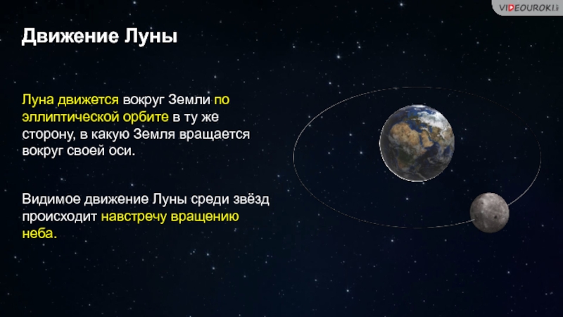 Во сколько раз отличаются сутки на земле от суток на весте