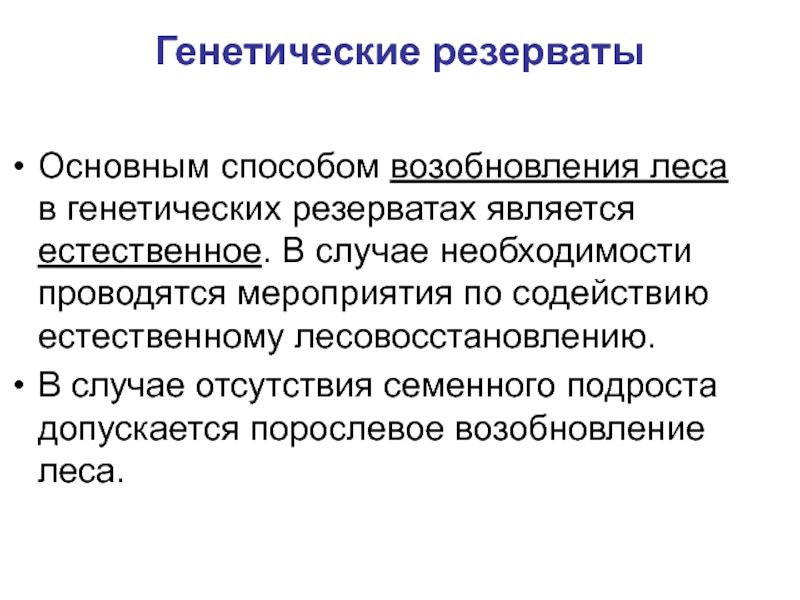 Проект мероприятий по содействию естественному лесовозобновлению