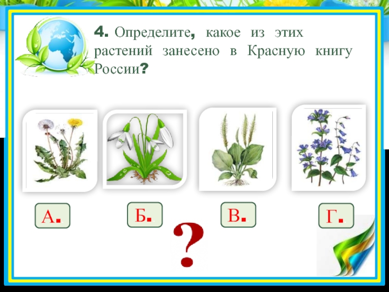 4. Определите, какое из этих растений занесено в Красную книгу России?А..Б..В..Г..