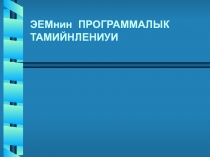 ЭЕМнин ПРОГРАММАЛЫК ТАМИЙНЛЕНИУИ